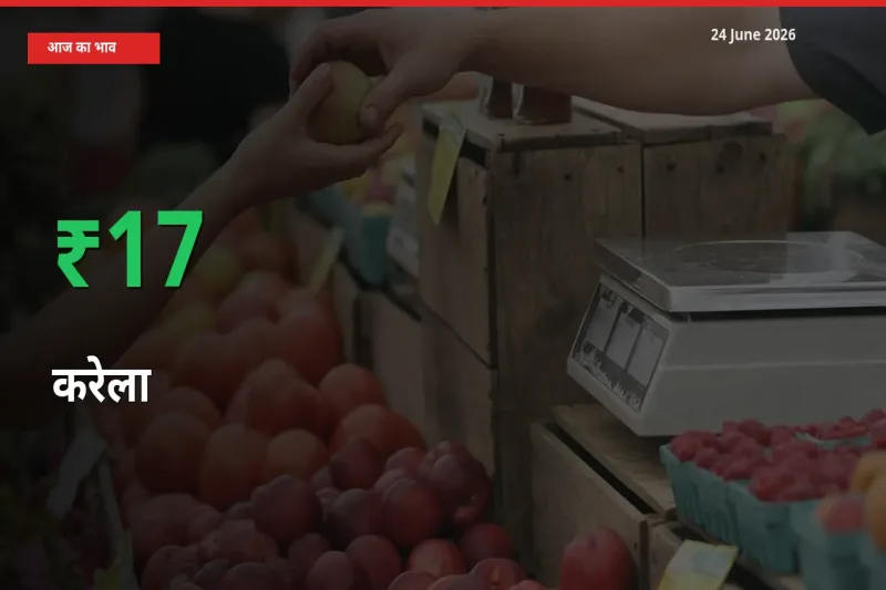 24 June अपडेट: करेला के दाम मंडी में 16.8% उछले