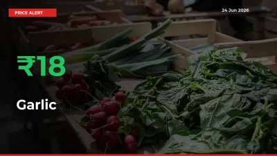 18.28% Spike in Garlic Prices – Mandi Sees Sudden Rally