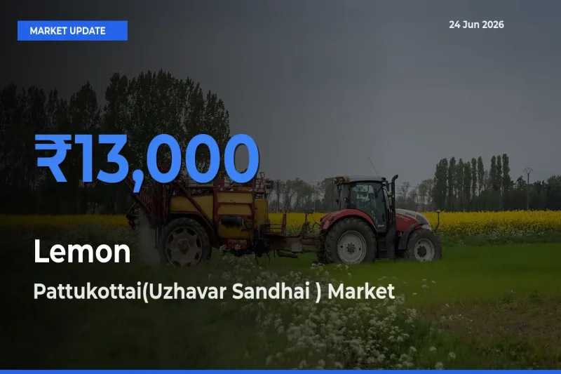 Pattukottai(Uzhavar Sandhai ) Tops Lemon Rates – June 24 Market Update