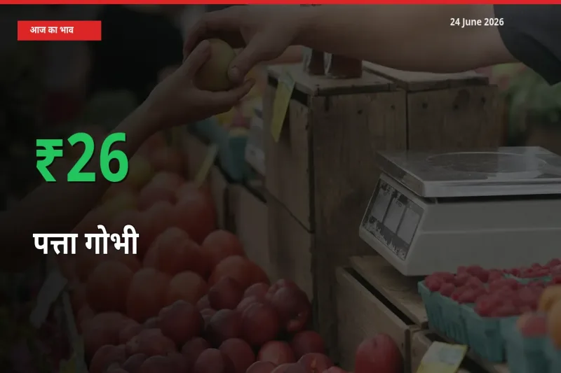 बाज़ार संकेत: पत्ता गोभी के भाव मंडी में 25.59% ऊपर