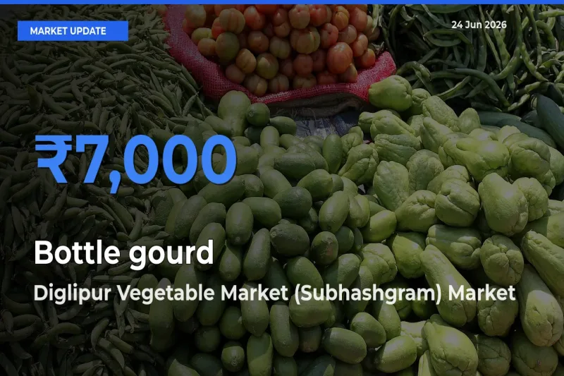 Diglipur Vegetable Market (Subhashgram) Tops Bottle gourd Mandi Rates Today