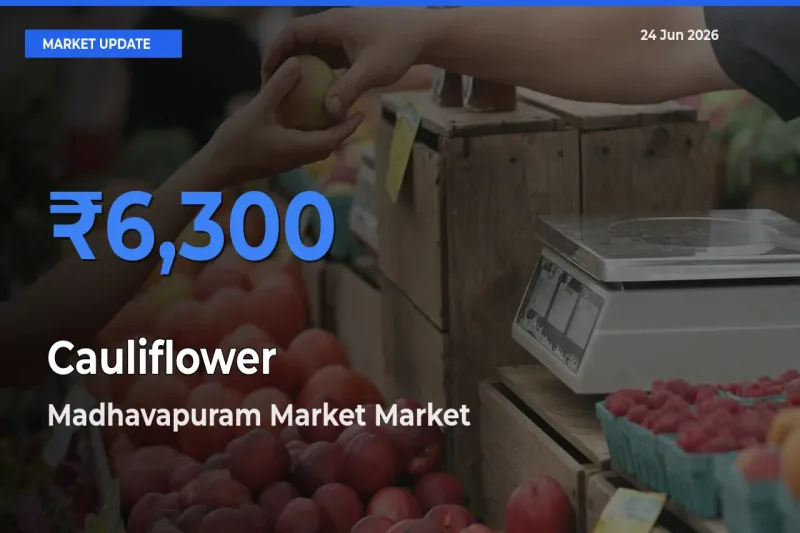 Top Performer! Madhavapuram Market Offers Best Cauliflower Price Today