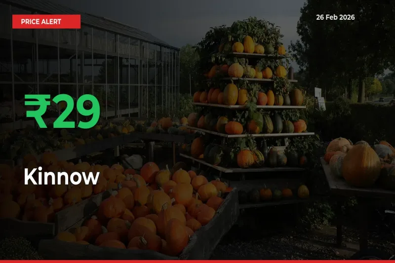 Kinnow Prices Rise 29.34% in a Day at Major Mandis