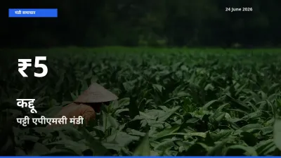 पट्टी एपीएमसी में कद्दू ₹5 पर गिरा – 30 दिन का न्यूनतम भाव