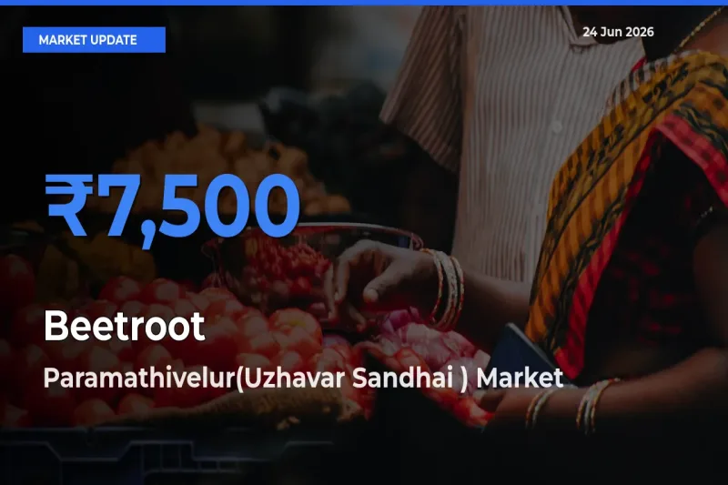 Market Watch: Paramathivelur(Uzhavar Sandhai ) Becomes Top Mandi for Beetroot