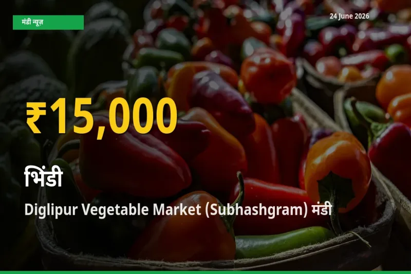 रिकॉर्ड तेज़ी! Diglipur Vegetable Market (Subhashgram) में भिंडी ₹15,000 पर पहुँचा