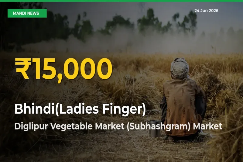 Farmers Benefit as Bhindi(Ladies Finger) Rate Touches New High in Diglipur Vegetable Market (Subhashgram)