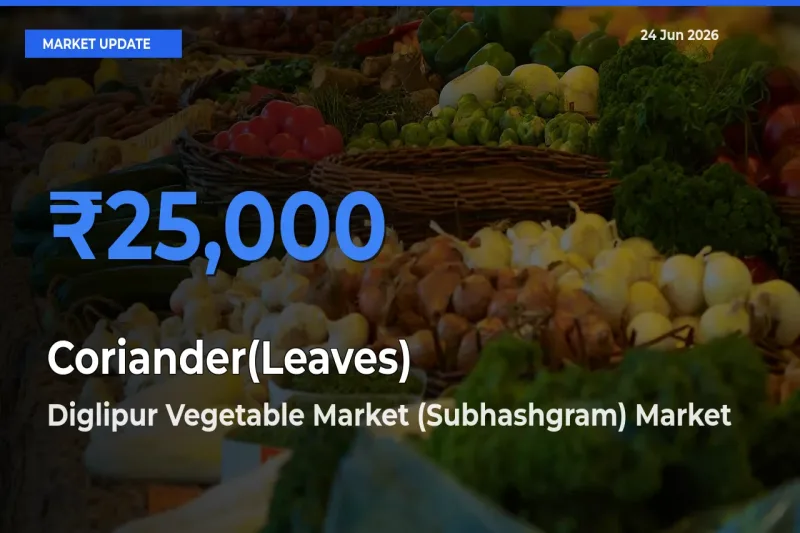 Top Performer! Diglipur Vegetable Market (Subhashgram) Offers Best Coriander(Leaves) Price Today