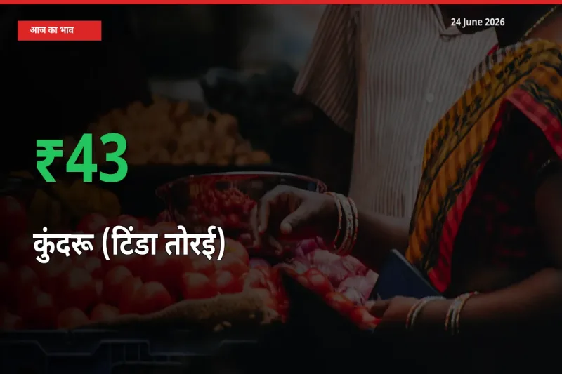 तेज़ तेजी! मंडी में कुंदरू (टिंडा तोरई) के दाम 42.81% चढ़े