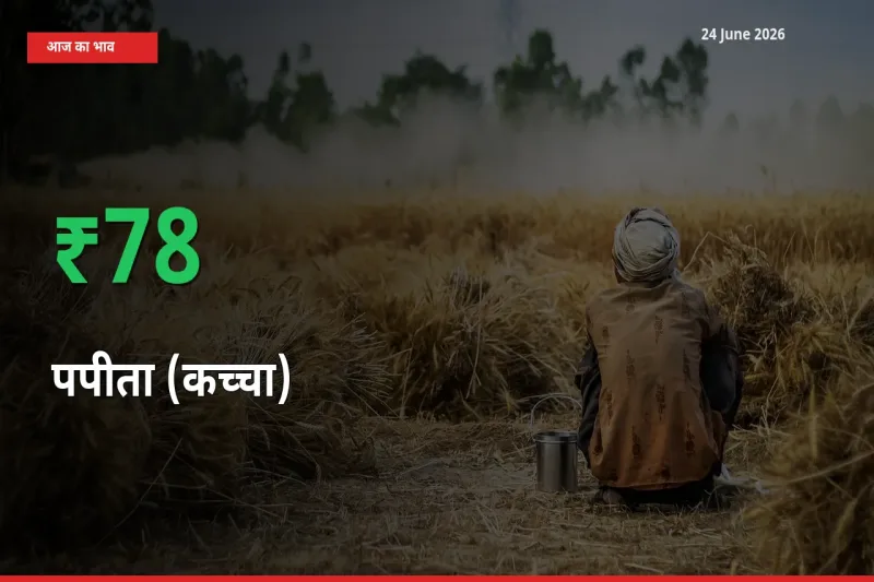 बाज़ार संकेत: पपीता (कच्चा) के भाव मंडी में 77.58% ऊपर