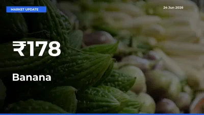 Banana Prices Trend Across 178+ Mandis – Market Direction Turns Clear