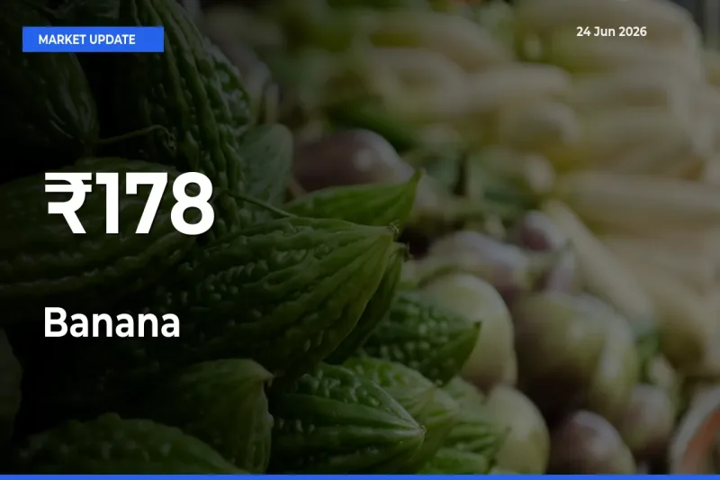 Banana Prices Trend Across 178+ Mandis – Market Direction Turns Clear