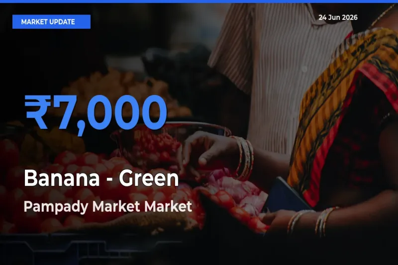 Pampady Market Offers ₹7,000 – Highest Banana - Green Rate Today