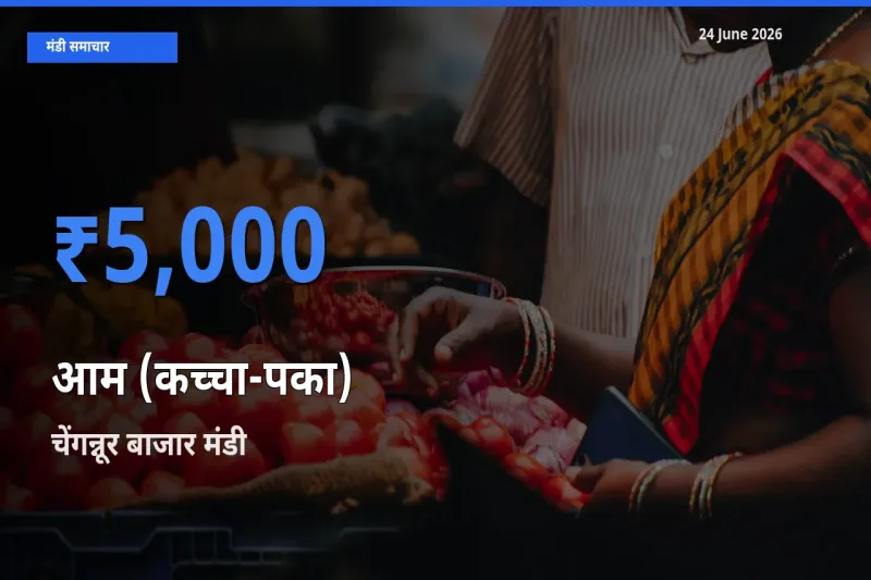 बाज़ार संकेत: चेंगन्नूर बाजार बना आम (कच्चा-पका) के लिए आज की टॉप मंडी