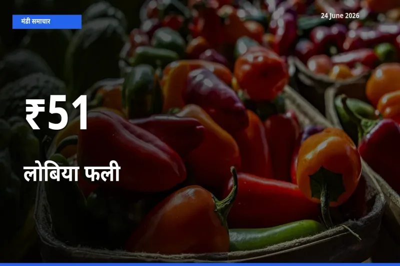कई मंडियों में लोबिया फली के भाव बदले – बाज़ार में बड़ा संकेत