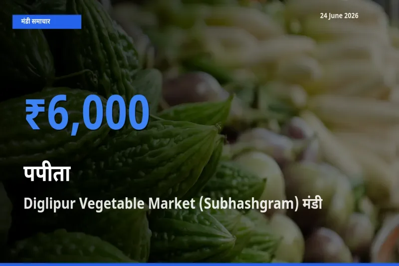 बाज़ार संकेत: Diglipur Vegetable Market (Subhashgram) बना पपीता के लिए आज की टॉप मंडी