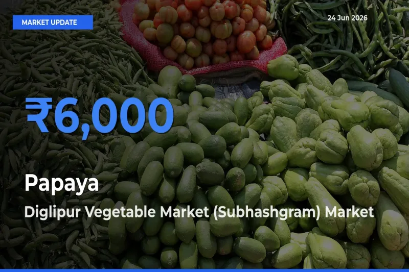 Diglipur Vegetable Market (Subhashgram) Tops Papaya Rates – June 24 Market Update