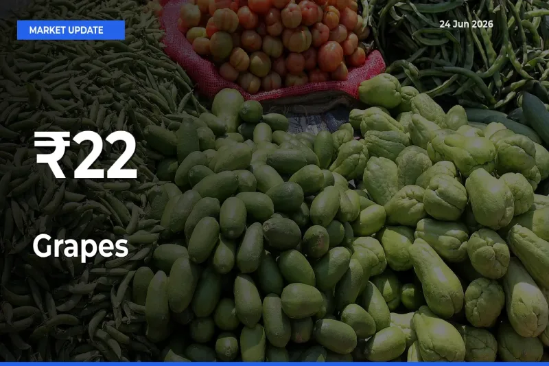 Grapes Shows Strong Mandi Trend – June 24 Market Update