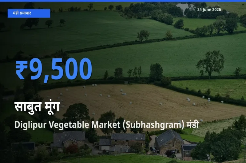 आज का मंडी भाव: साबुत मूंग के सबसे ज़्यादा दाम Diglipur Vegetable Market (Subhashgram) में