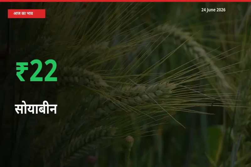 किसानों के लिए खुशखबरी! स्थानीय मंडी में सोयाबीन 22.3% उछला