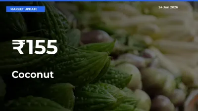 Strong Trend in Coconut Rates Across Multiple Mandis – What It Means for Traders