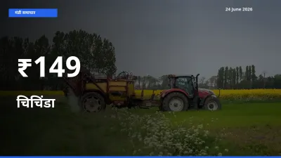 चिचिंडा के दाम 149+ मंडियों में बदले, बाज़ार का रुझान स्पष्ट