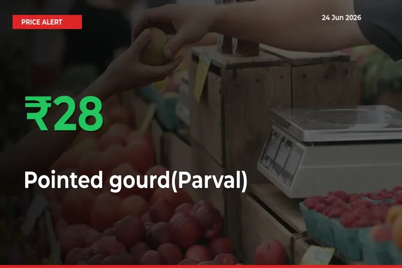 This Mandi Records 27.98% Jump in Pointed gourd(Parval) Prices