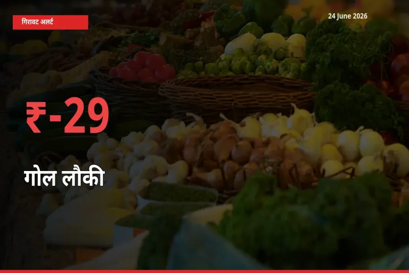 अचानक झटका! मंडी में गोल लौकी के दाम 28.79% टूटे