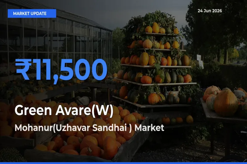 Mohanur(Uzhavar Sandhai ) Tops Green Avare(W) Mandi Rates Today