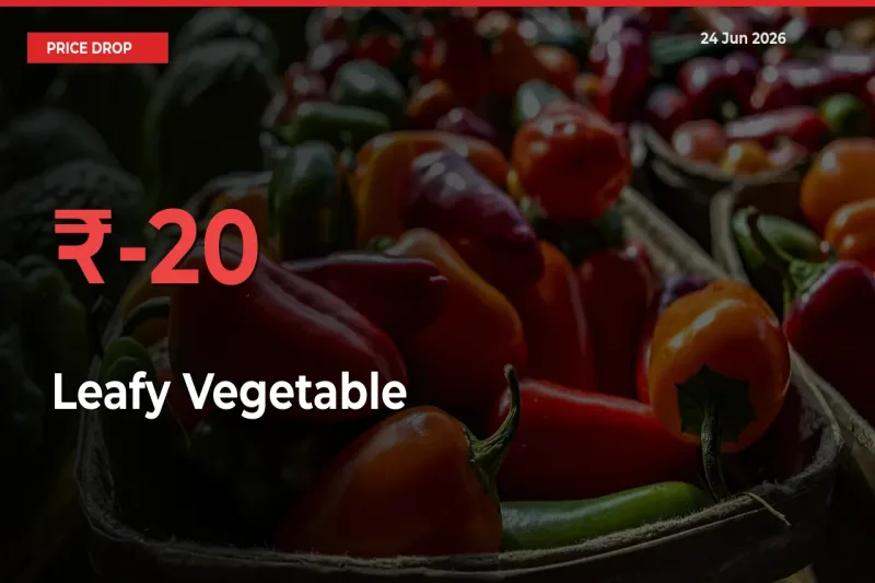 Farmers Alert as Leafy Vegetable Prices Slide 19.85% in Local Mandis