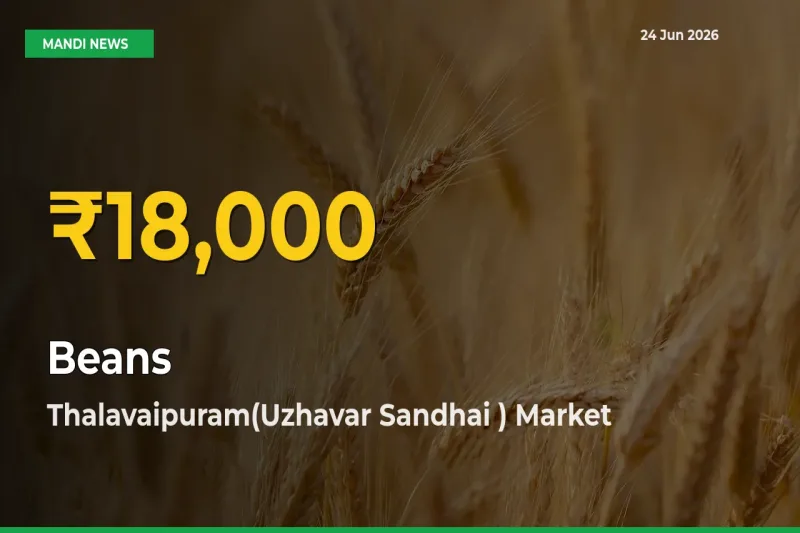 Beans Prices Soar to Record High in Thalavaipuram(Uzhavar Sandhai ) – Farmers Alert Today