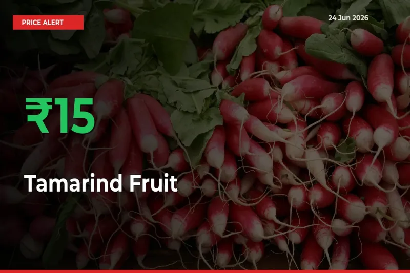 Tamarind Fruit Mandi Rate Today: Prices Jump 15.35% at Market