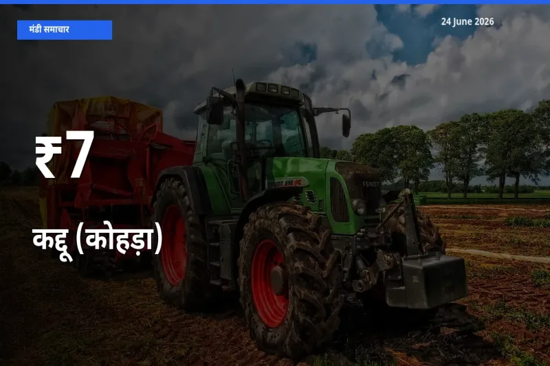 आज का मंडी ट्रेंड: कद्दू (कोहड़ा) के दाम कई बाजारों में एक साथ बदले