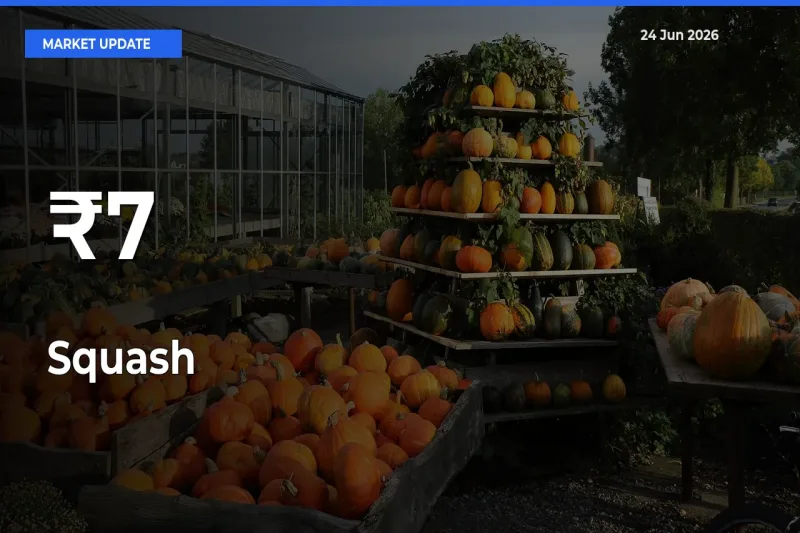 Strong Trend in Squash Rates Across Multiple Mandis – What It Means for Traders
