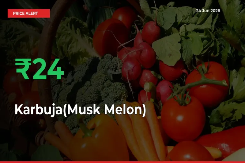 Why Karbuja(Musk Melon) Prices Rose 23.76% in a Day at Mandis