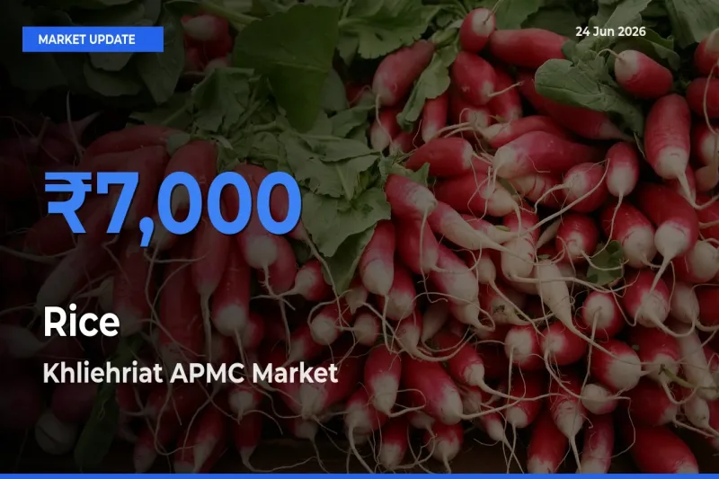 Market Watch: Khliehriat APMC Becomes Top Mandi for Rice
