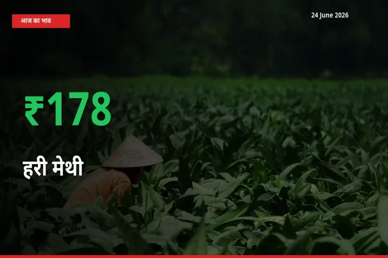 हरी मेथी 178.32% उछला, मंडी