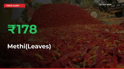 Sudden 178.32% Rally in Methi(Leaves) Prices Across Mandis