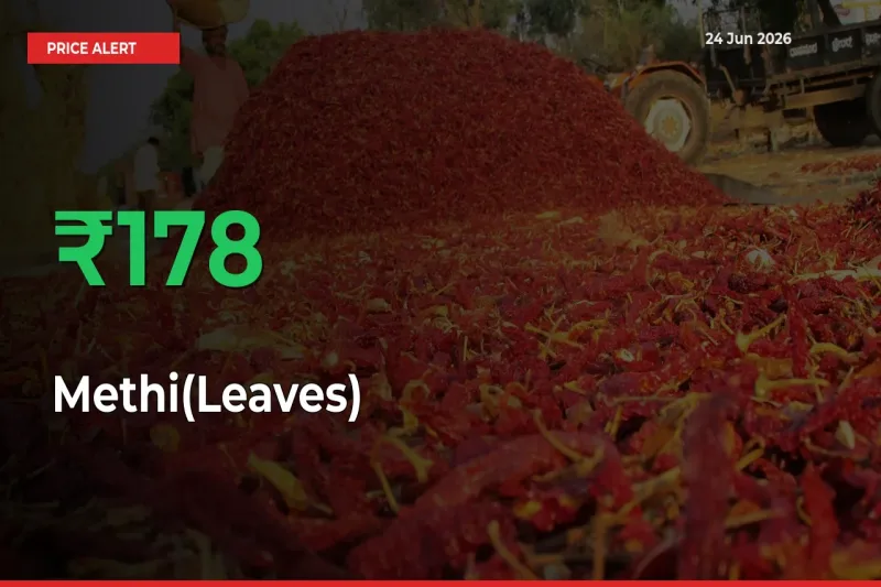Sudden 178.32% Rally in Methi(Leaves) Prices Across Mandis