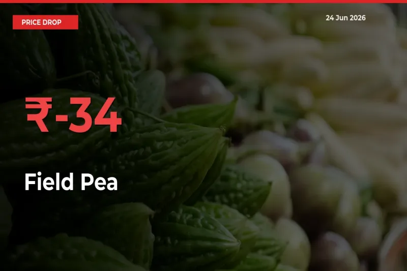 Field Pea Mandi Rate Today: Prices Fall 33.68% at Market