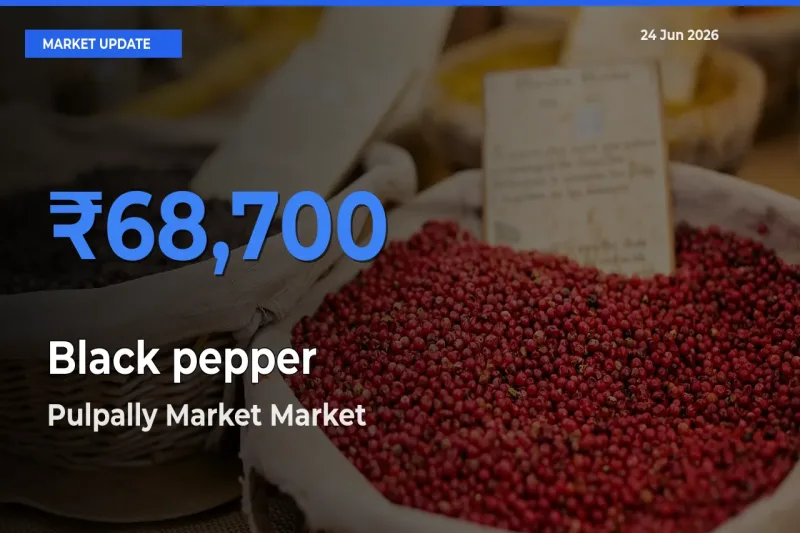 Pulpally Market Records Highest ₹68,700 Rate for Black pepper