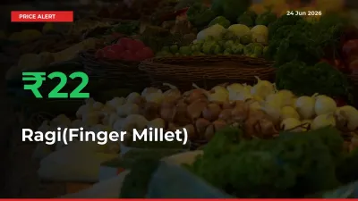 This Mandi Records 22.38% Jump in Ragi(Finger Millet) Prices