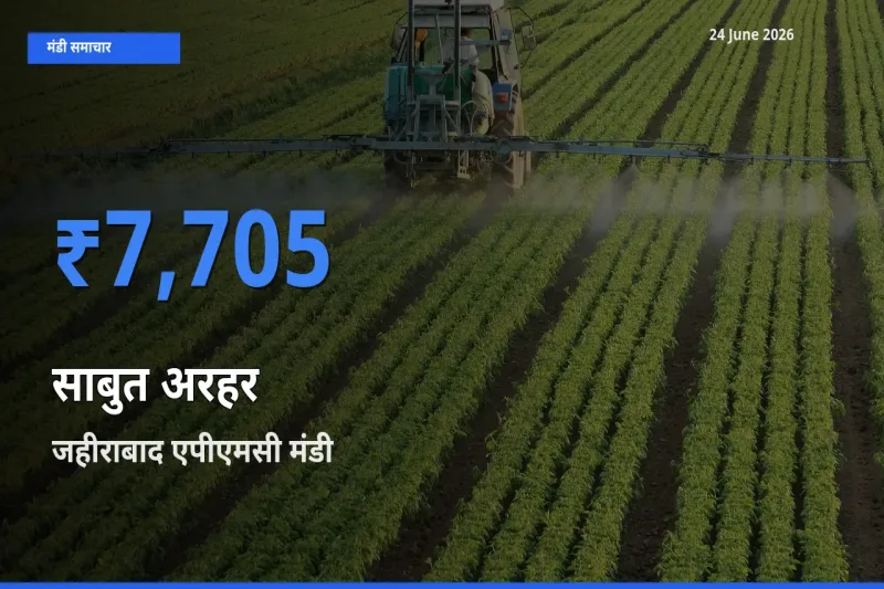 टॉप मंडी बना जहीराबाद एपीएमसी! साबुत अरहर के सबसे ऊँचे दाम यहीं दर्ज