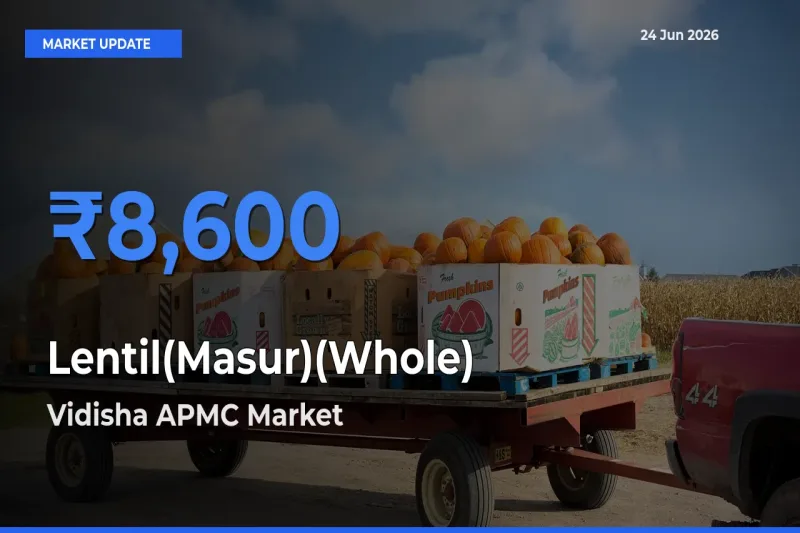 Vidisha APMC Emerges as Top Mandi for Lentil(Masur)(Whole) Prices Today