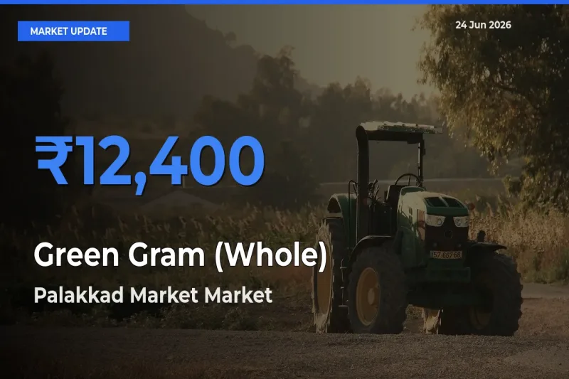 Palakkad Market Leads as Top Mandi for Green Gram (Whole) Prices
