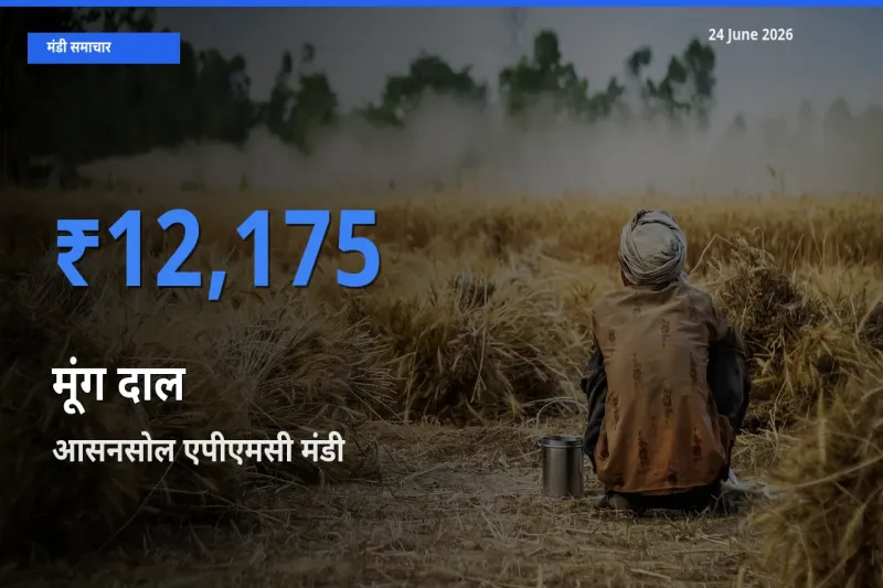 किसानों की पसंद बना आसनसोल एपीएमसी, मूंग दाल के सबसे अच्छे दाम