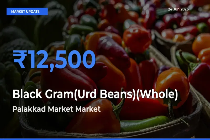 Palakkad Market Records Highest ₹12,500 Rate for Black Gram(Urd Beans)(Whole)