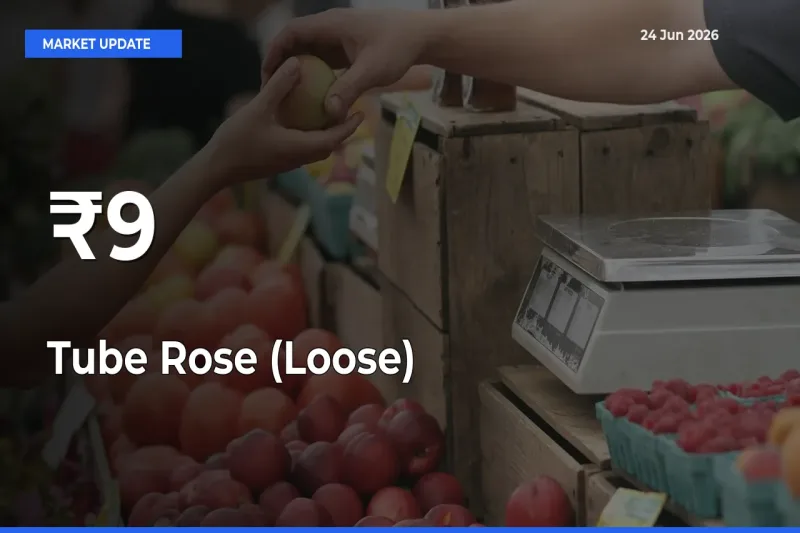 Tube Rose (Loose) Prices Trend Across 9+ Mandis – Market Direction Turns Clear