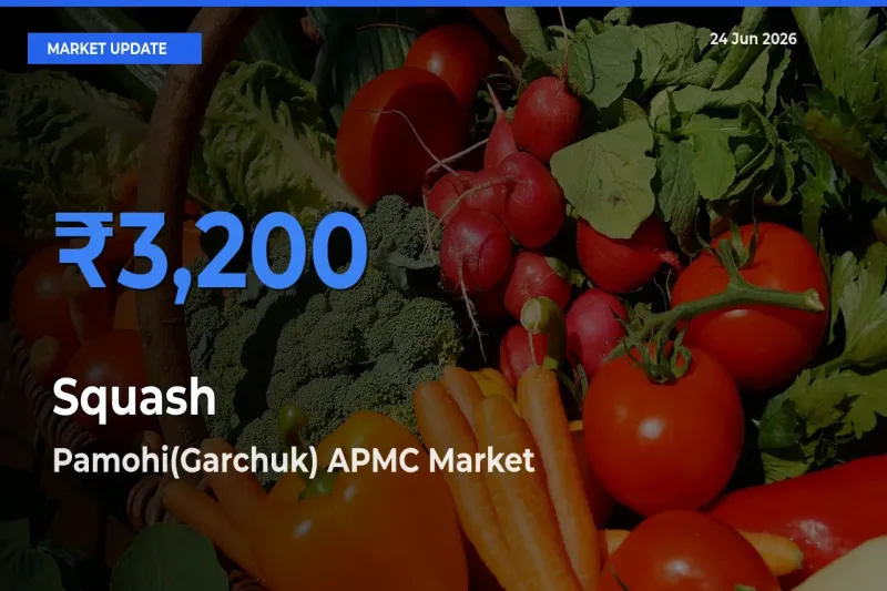 Pamohi(Garchuk) APMC Emerges as Top Mandi for Squash Prices Today