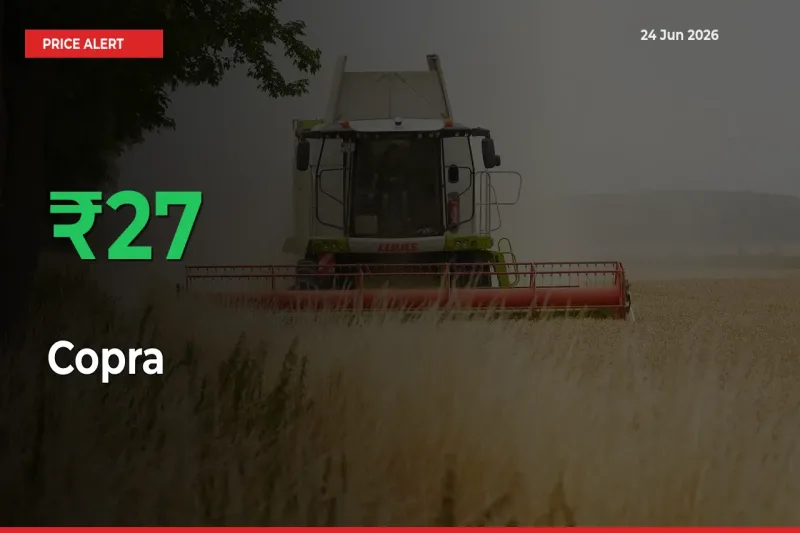 Sudden 26.59% Rally in Copra Prices Across Mandis